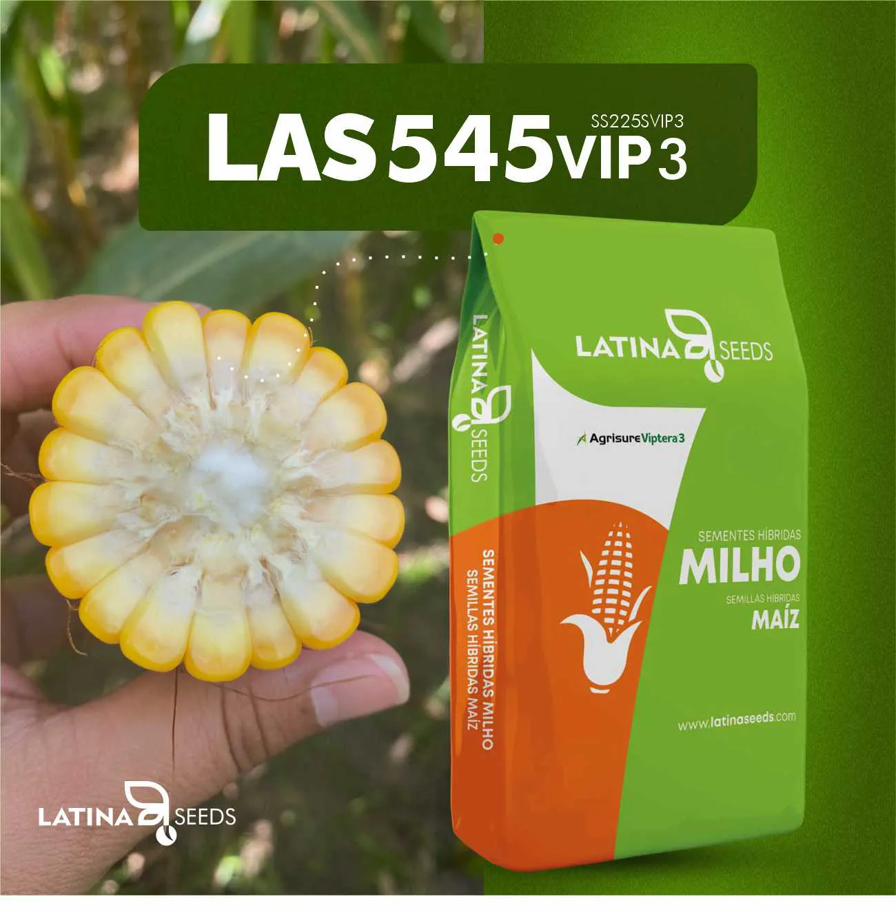 その他 St.Vincent Latinaires Semente de Milho Hibrido LAS545VIP3 - MRVET - Segurança em saúde