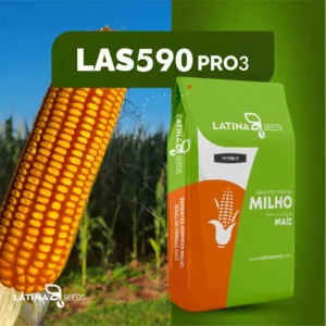 Semente de Milho Hibrido LAS590PRO3
