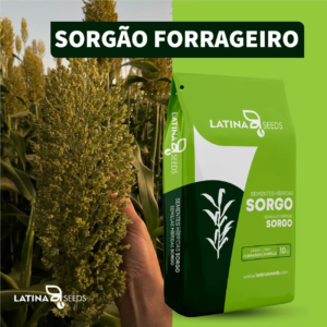 SEMENTE DE SORGO FORRAGEIRO 10KG AGRI001E