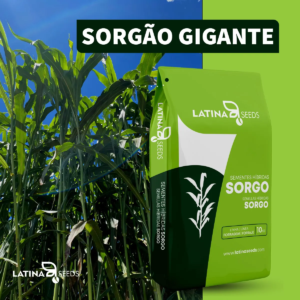 SEMENTE DE SORGO GIGANTE 10KG AGRI002E