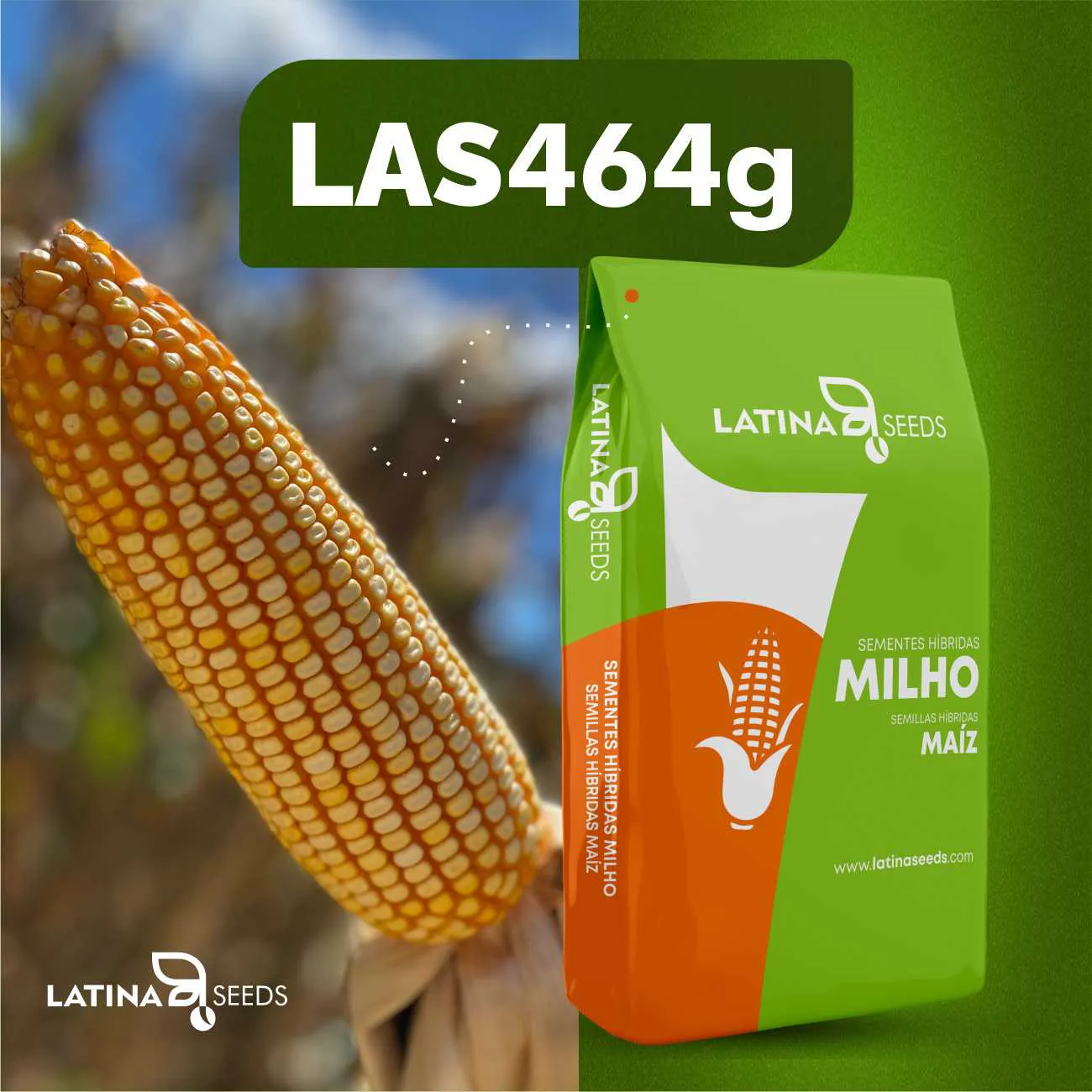 Semente de Milho Hibrido LAS464g