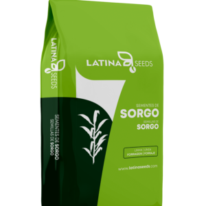 SORGÃO GIGANTE LAS5606F